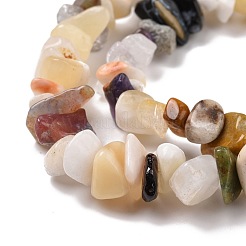 Natural & Synthetic Gemstone Chips Beads Strands&nbsp;G-L154-21