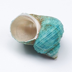 Hermit Crab Shells&nbsp;SSHEL-WH0001-15E