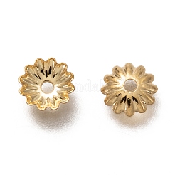 304ステンレススチールビーズキャップ  マルチ花弁花  18KGP本金メッキ  5.5x1mm  穴：1.2mm&nbsp;STAS-H130-30G