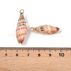 Natural Sea Shell Pendants&nbsp;SSHEL-N038-35