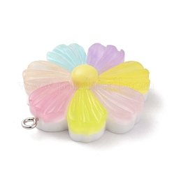Opaque Resin Pendants&nbsp;RESI-C022-01