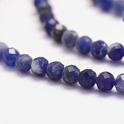Natural Sodalite Bead Strands&nbsp;X-G-P279-58-3mm