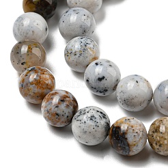 Natural Dendritic Opal Beads Strands&nbsp;G-R494-A16-03