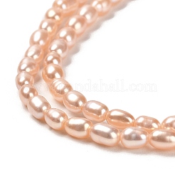 天然養殖淡水パールビーズ連売り  ライス  グレード4 A  ライトサーモン  2.5~3x4~4.5mm  穴：0.5mm  約91個/連  14.69''（37.3センチメートル）&nbsp;PEAR-E016-141