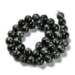 Natural Seraphinite Beads Strands&nbsp;G-E557-22B