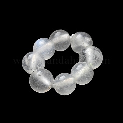 Natural Rainbow Moonstone Beads&nbsp;G-P557-01A