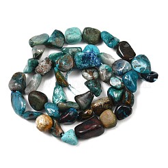 Natural Chrysocolla Beads Strands&nbsp;G-L493-61