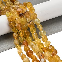Natural Yellow Opal Beads Strands&nbsp;G-P497-01E-34B