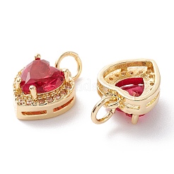 Brass Micro Pave Cubic Zirconia Charms&nbsp;LS-ZIRC-A019-14G-C