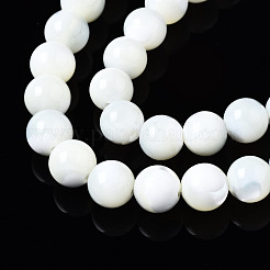 天然トロチッドシェル/トロカスシェルビーズ連売り  ラウンド  漂白  貝殻色  8mm  穴：1.2mm  約50~52個/連  15.35~15.75インチ（39~40cm）&nbsp;SSHEL-S266-023A-03
