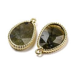 Natural Labradorite Faceted Pendants&nbsp;G-M431-14G-05