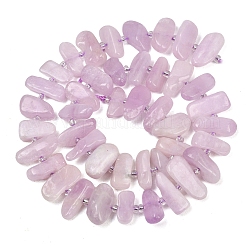 Natural Kunzite Beads Strands&nbsp;G-L657-E05-01