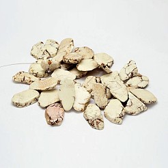 Dyed Natural Magnesite Bead Strands&nbsp;G-M156-06