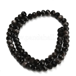 Natural Silver Obsidian Beads Strands&nbsp;G-C280-A02-01