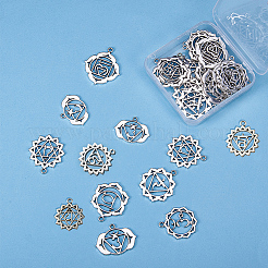 Tibetan Style Alloy Pendants&nbsp;TIBEP-SC0001-02