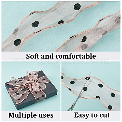 25M Polyester Organza Ribbons&nbsp;SRIB-CY0001-36B