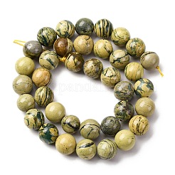Natural Verdite Stone Beads Strands&nbsp;G-C242-03-10mm