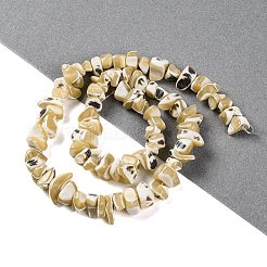 Natural Trochus Shell Beads Strands&nbsp;BSHE-S304-04