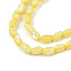 Natural Freshwater Shell Beads Strands&nbsp;SHEL-N003-25-B05