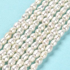 天然養殖淡水パールビーズ連売り  ライス  フローラルホワイト  4~4.5x3~4x3~4mm  約73~74個/連  13.78''（35センチメートル）&nbsp;PEAR-E016-124