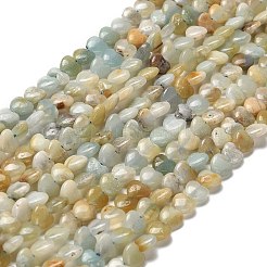 天然フラワーアマゾナイトビーズ連売り  ハート  5.5x6~6.5x2.5~3mm  穴：0.7mm  約69~72個/連  14.88~15.2（37.8~38.6センチメートル）&nbsp;G-P575-C07-6mm