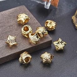 合金ビーズ  鉛フリー＆ニッケルフリー＆カドミウムフリー  ヒトデ/海星  14KGP本金メッキ  10x11x9mm  穴：4mm&nbsp;TIBEB-A004-010G-NR