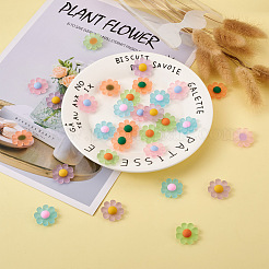 Resin Frosted Cabochons&nbsp;RESI-TA0001-26