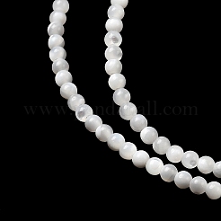 ナチュラルホワイトシェルビーズ  マザーオブパールシェルビーズ連売り  ラウンド  2mm  穴：0.5mm  約170~175個/連  39cm&nbsp;X-G-N0190-11-2mm