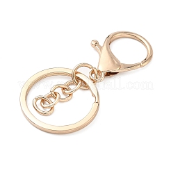 Alloy Keychain Clasps&nbsp;FIND-C084-10KCG