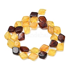 Natural Amber Beads Strands&nbsp;G-Z106-D01