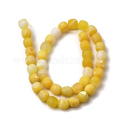 Dyed & Heated Natural Fire Crackle Agate Beads Strands&nbsp;G-NH0067-B01