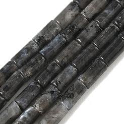 天然ラルビカイトビーズ連売り  コラム  8x4mm  穴：1mm  約49個/連  15.35''（39センチメートル）&nbsp;G-B091-A20-01