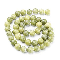 Natural Taiwan Jade Beads Strands&nbsp;X-GSR032