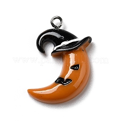 Halloween Opaque Resin Pendants&nbsp;RESI-D055-106P