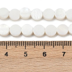 天然淡水シェルビーズ連売り  フラットラウンド  貝殻色  6~6.5x2.5~3mm  穴：0.5mm  約62~63個/連  15.12''~15.35''（38.4~39センチメートル）&nbsp;SHEL-K010-03