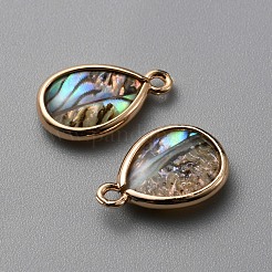 天然パウアシェルペンダント  ティアドロップチャーム  明るい金色の真鍮のパーツと  16x10x3.5mm  穴：1.4mm&nbsp;SHEL-WH0002-07