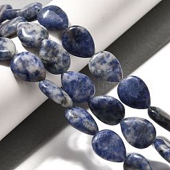 天然ブルースポットジャスパービーズ連売り  ティアドロップ  16x12x5~6mm  穴：1mm  約25個/連  15.16''~15.75''（38.5~40センチメートル）&nbsp;G-P561-B06-01