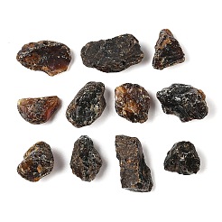 塊 生 粗い 琥珀 コレクション  地球科学教育用  25~39x19~24x12~16mm&nbsp;AJEW-Q152-07