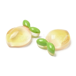 Translucent Resin Fruit Cabochons&nbsp;RESI-G072-03E