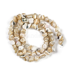 Natural Trochus Shell Beads Strands&nbsp;BSHE-H109-10