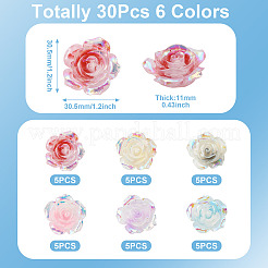 30 個 6 色の蓄光樹脂カボション  ABカラー  花  暗闇で光る  ミックスカラー  30.5~33.5x30.5~32.5x11~13.5mm  5個/カラー&nbsp;CRES-TA0001-79