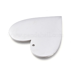 Tarnish Resistant 304 Stainless Steel Pendants&nbsp;STAS-L238-098A-P