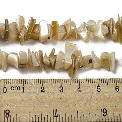 天然な黄色のシェルビーズ連売り  染め  ナゲット  小麦  1.7~7x5.5~16x5~13mm  穴：1mm  約102~109個/連  14.96~15.55''（38~39.5センチメートル）&nbsp;SSHEL-H072-05
