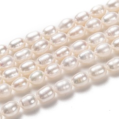 Natural Cultured Freshwater Pearl Beads Strands, Rice, Bisque, 7~8x6mm, Hole: 0.7mm, about 43pcs/strand, 14 inch