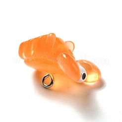 Marine Series Transparent Resin Pendants&nbsp;RESI-E031-02P-08