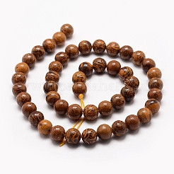 Natural Elephant Skin Jasper/Miriam Stone/Calligraphy Stone Beads Strands&nbsp;G-G735-53-8mm
