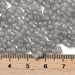 Transparent Colours Glass Seed Beads&nbsp;SEED-R001-01L