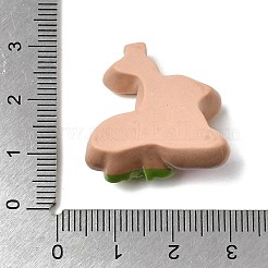 オペーク樹脂カボション  庭の装飾  混合図形  ミックスカラー  20~27x23~29.5x8~10mm&nbsp;RESI-B038-01