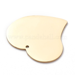 304 Stainless Steel Pendants&nbsp;STAS-Y006-11G