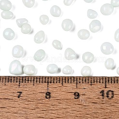 Opaque Glass Seed Beads&nbsp;GLAA-Q119-01-A05